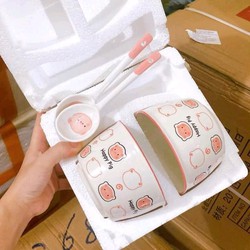 4 bát sứ kèm 4 thìa cực xinh