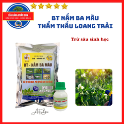 Trừ sâu hại cây trồng: BT Nấm 3 Màu 1kg + Thẩm thấu, loang trải 50ml
