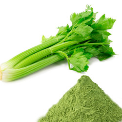 Hộp 500gr bột Cần Tây - Diếp Cá - Rau Má nguyên chất (thực phẩm sạch, an toàn)