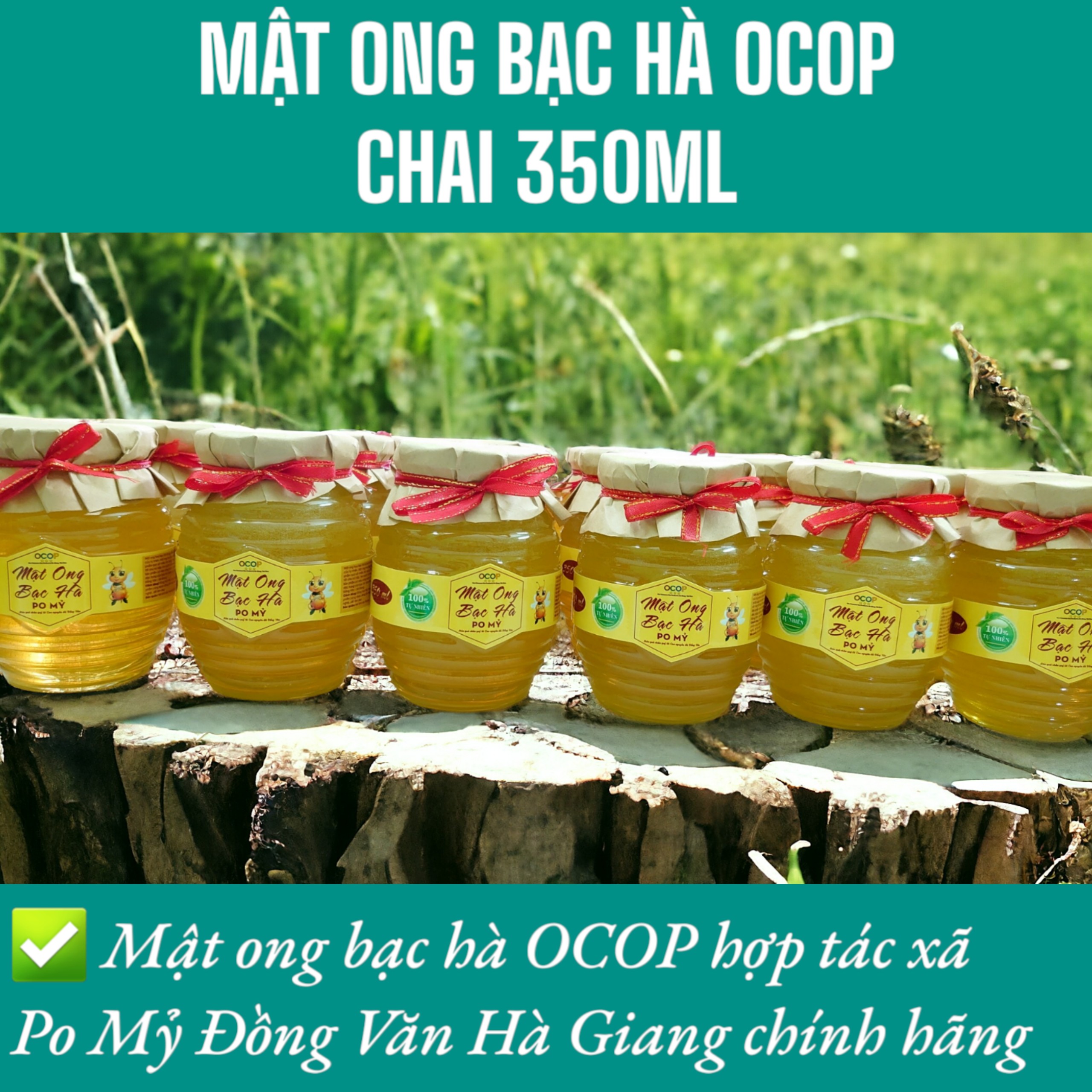 Hình ảnh MẬT ONG BẠC HÀ OCOP HÀ GIANG 350ML, MẬT ONG BẠC HÀ HÀ GIANG CHÍNH HÃNG PO MỶ