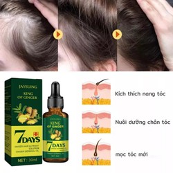 Tinh Dầu Xịt Mọc Tóc EELHOE: Tinh Chất Nhân Sâm và Gừng Tươi Thiên Nhiên Kích Thích Mọc Tóc Sau 7 Ngày Loại Tốt