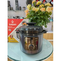 NỒI ÁP SUẤT ĐIỆN KALPEN P4 DUNG TÍCH 6L