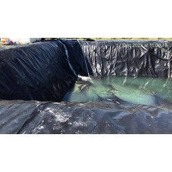 Màng Hdpe 0.3mm khổ 4mx100m 400m2 trải be bờ ao