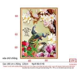 Tranh gạch đẹp chim công khổ đứng
