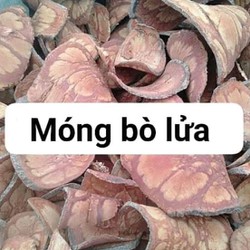 cây móng bò lửa khô túi 1kg 500gram