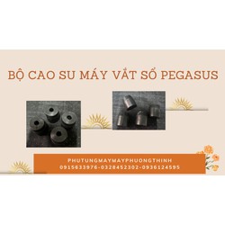 BỘ CAO SU MÁY VẮT SỔ PEGASUS