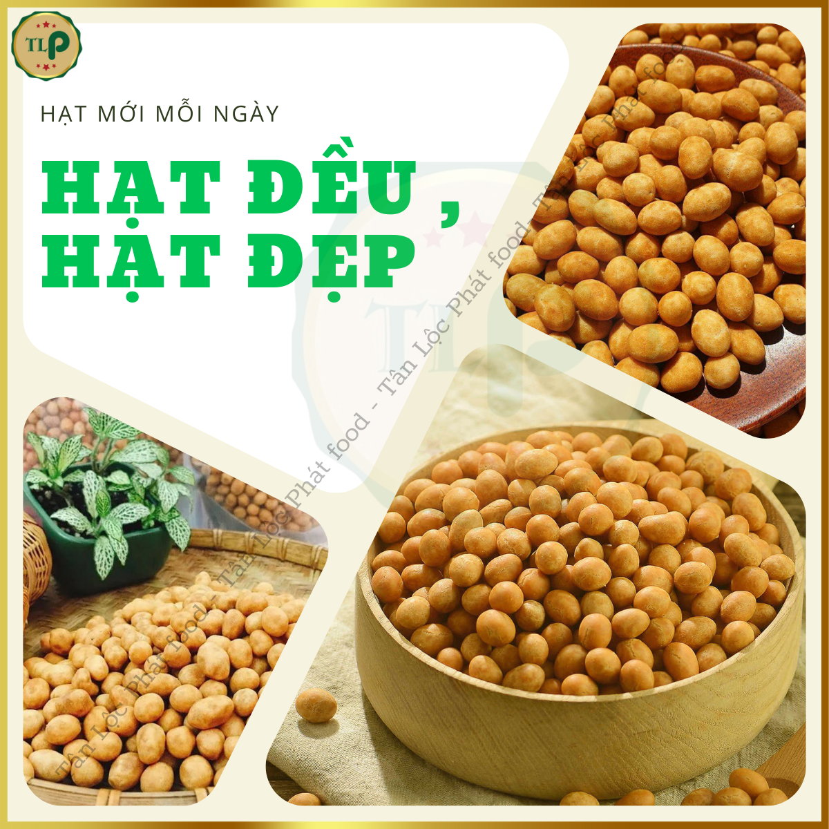 ĐẬU PHỘNG CỐT DỪA TÂN LỘC PHÁT HŨ 500G (Mã SP: 500DPCDnhom)