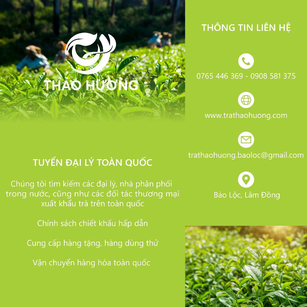 Hình ảnh Trà Oolong Xanh nguyên vị Thượng Hạng thương hiệu Thảo Hương Gói 500gr - Pha chế Oolong long nhãn, Oolong sữa