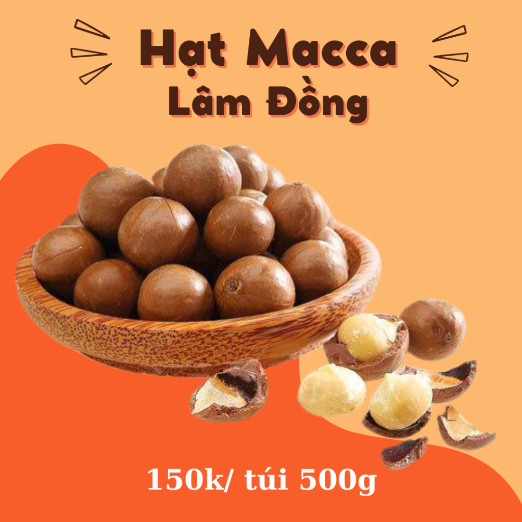 Hình ảnh HẠT MẮC CA (size A, 500gr) LÂM ĐỒNG CAO CẤP