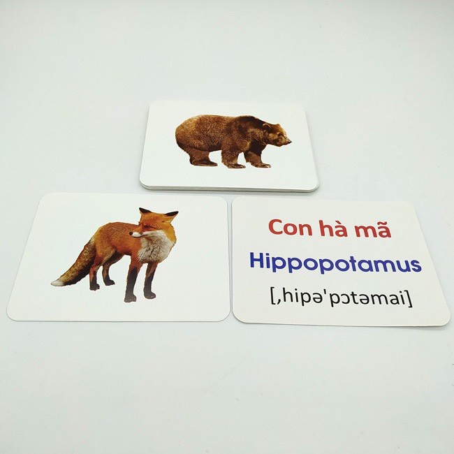 Hình ảnh Thẻ Học Flashcards Thông Minh Song Ngữ Anh - Việt Chủ Đề Động Vật Hoang Dã Cho Bé